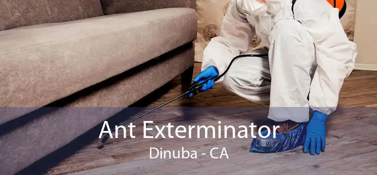 Ant Exterminator Dinuba - CA