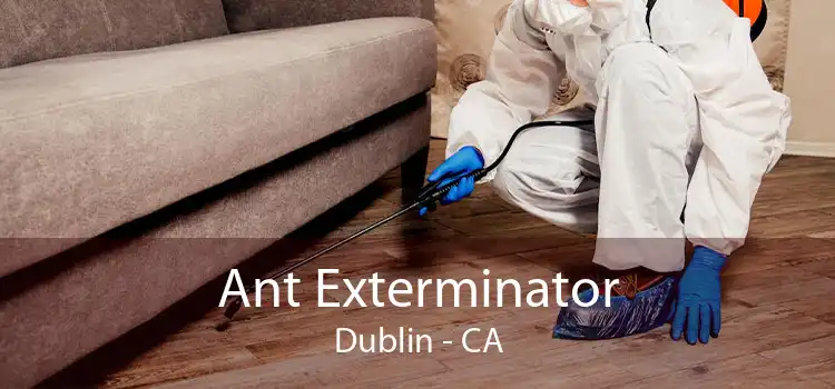Ant Exterminator Dublin - CA