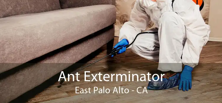 Ant Exterminator East Palo Alto - CA
