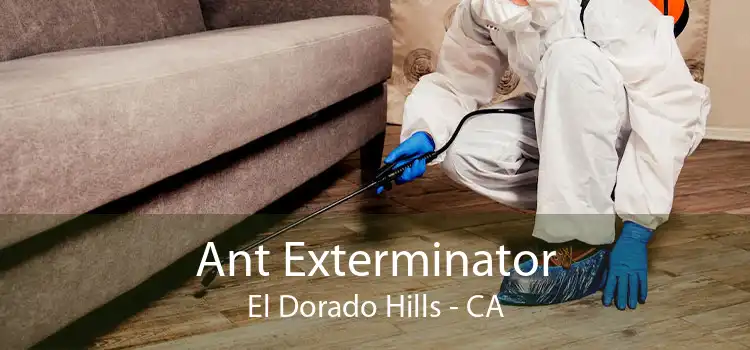 Ant Exterminator El Dorado Hills - CA