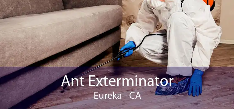 Ant Exterminator Eureka - CA