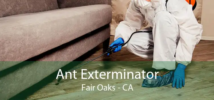 Ant Exterminator Fair Oaks - CA
