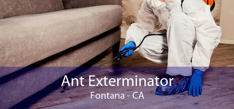 Ant Exterminator Fontana - CA