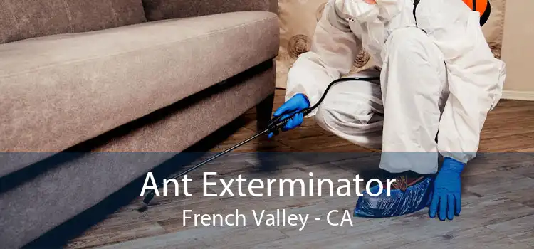 Ant Exterminator French Valley - CA