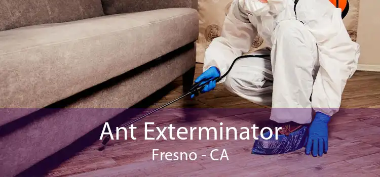 Ant Exterminator Fresno - CA