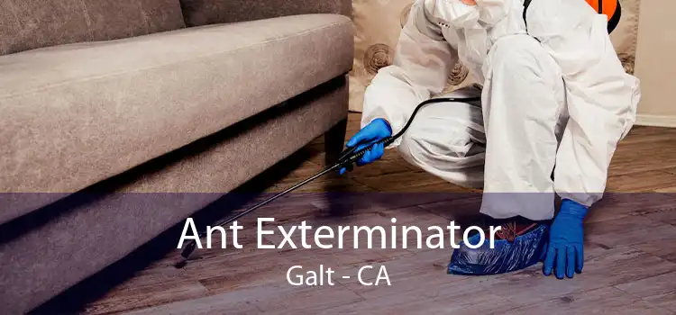 Ant Exterminator Galt - CA