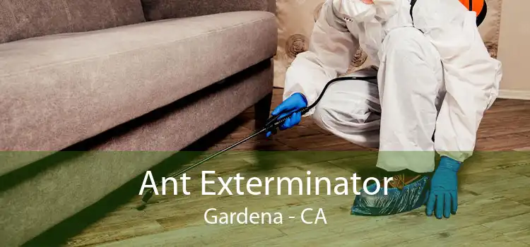 Ant Exterminator Gardena - CA