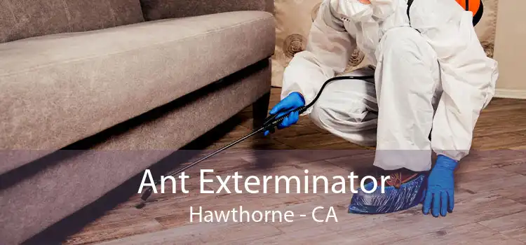 Ant Exterminator Hawthorne - CA