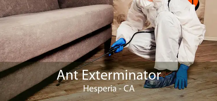 Ant Exterminator Hesperia - CA