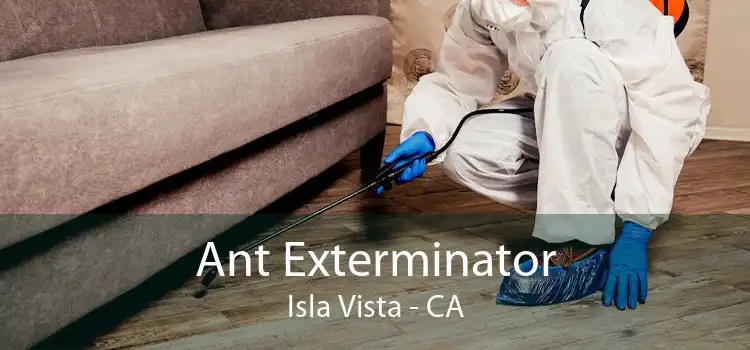 Ant Exterminator Isla Vista - CA