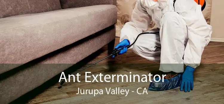 Ant Exterminator Jurupa Valley - CA
