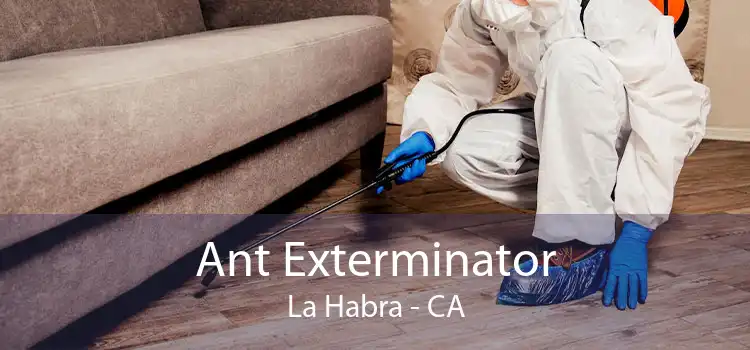 Ant Exterminator La Habra - CA