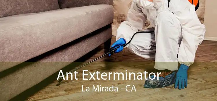 Ant Exterminator La Mirada - CA
