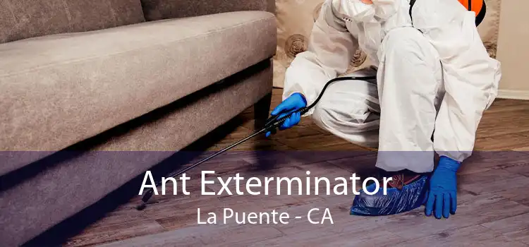 Ant Exterminator La Puente - CA