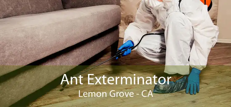 Ant Exterminator Lemon Grove - CA