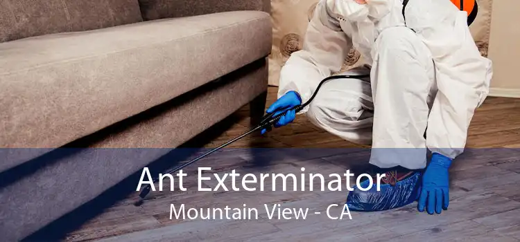 Ant Exterminator Mountain View - CA