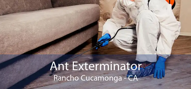 Ant Exterminator Rancho Cucamonga - CA