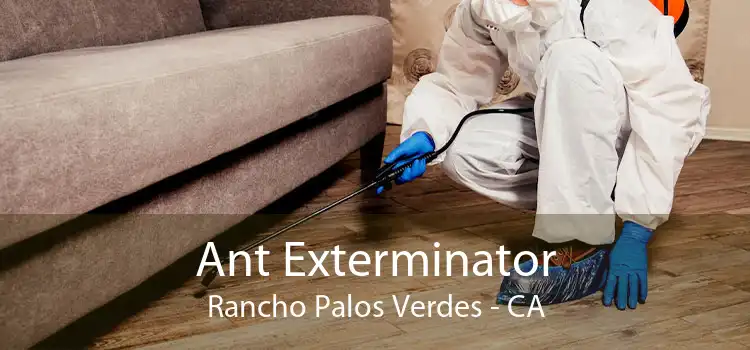 Ant Exterminator Rancho Palos Verdes - CA