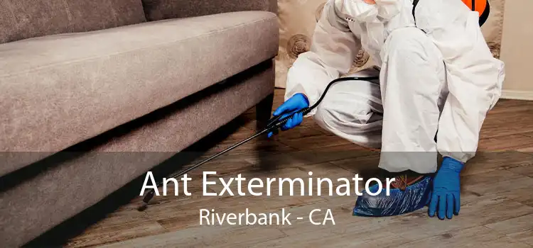 Ant Exterminator Riverbank - CA