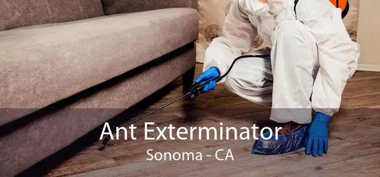 Ant Exterminator Sonoma - CA