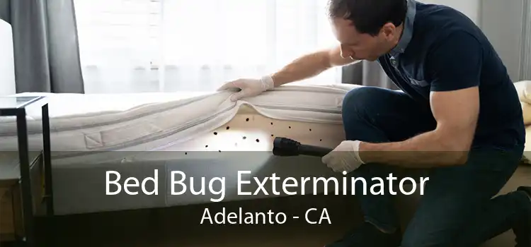 Bed Bug Exterminator Adelanto - CA