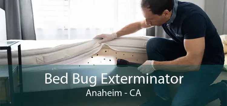 Bed Bug Exterminator Anaheim - CA