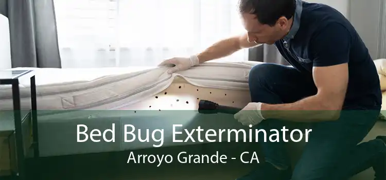 Bed Bug Exterminator Arroyo Grande - CA