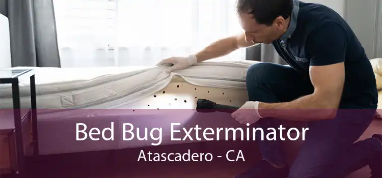 Bed Bug Exterminator Atascadero - CA