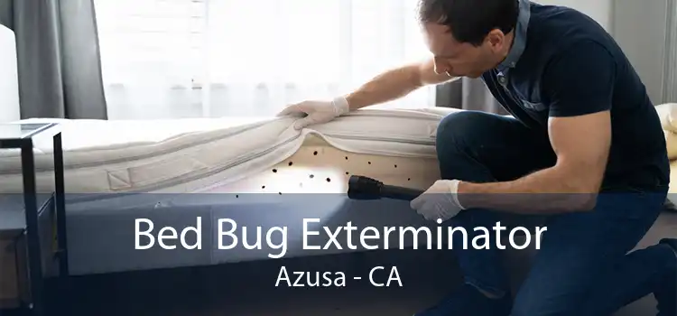 Bed Bug Exterminator Azusa - CA