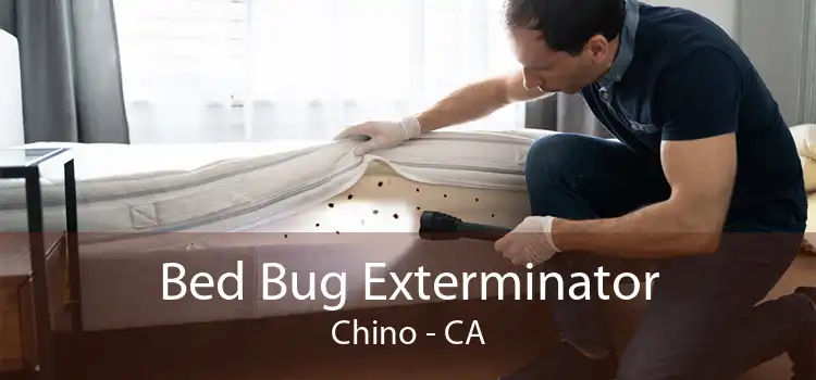 Bed Bug Exterminator Chino - CA