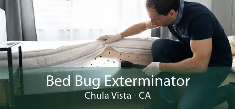 Bed Bug Exterminator Chula Vista - CA