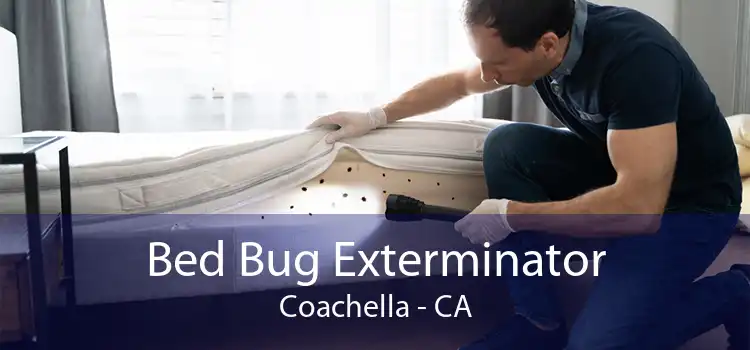 Bed Bug Exterminator Coachella - CA