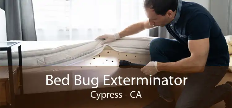 Bed Bug Exterminator Cypress - CA