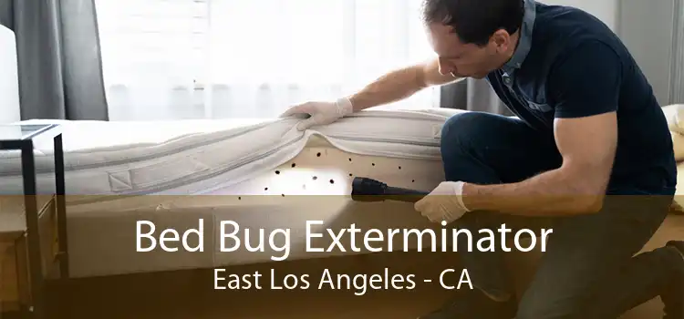 Bed Bug Exterminator East Los Angeles - CA