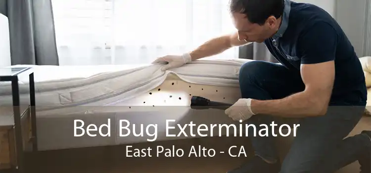 Bed Bug Exterminator East Palo Alto - CA