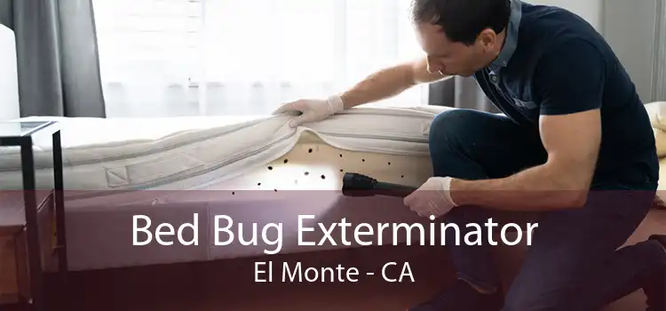 Bed Bug Exterminator El Monte - CA