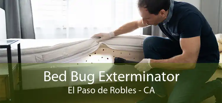 Bed Bug Exterminator El Paso de Robles - CA