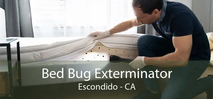 Bed Bug Exterminator Escondido - CA