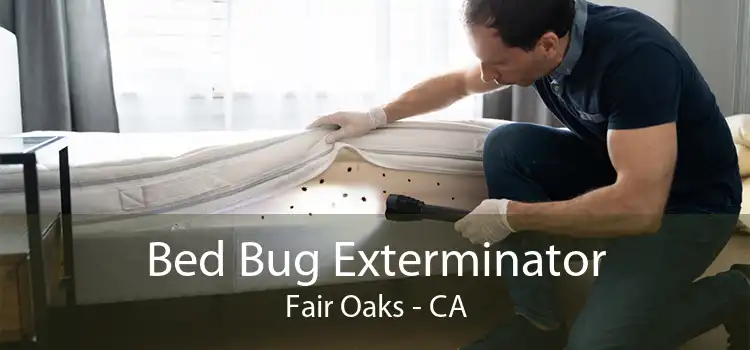Bed Bug Exterminator Fair Oaks - CA