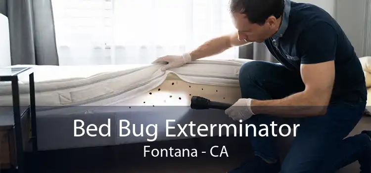 Bed Bug Exterminator Fontana - CA