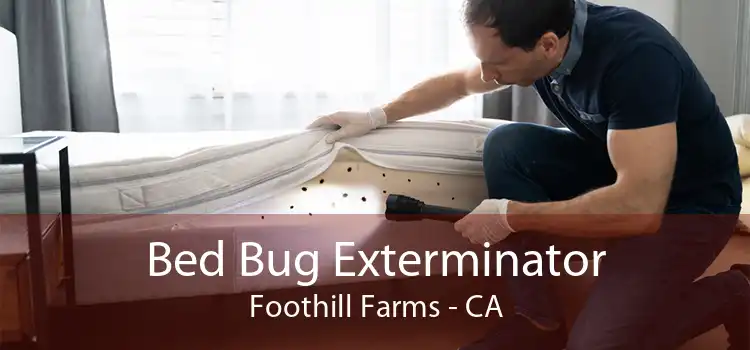 Bed Bug Exterminator Foothill Farms - CA