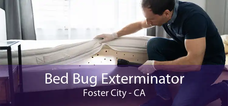 Bed Bug Exterminator Foster City - CA