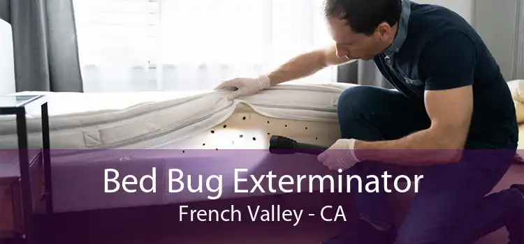 Bed Bug Exterminator French Valley - CA