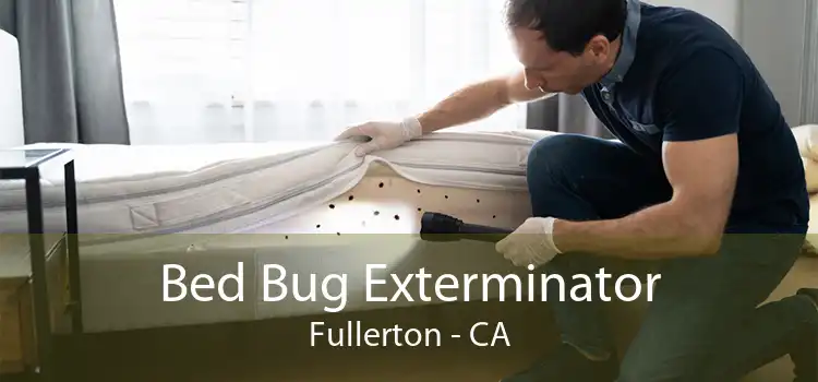 Bed Bug Exterminator Fullerton - CA