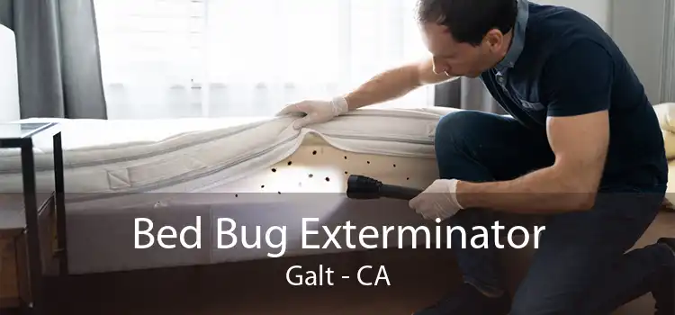 Bed Bug Exterminator Galt - CA