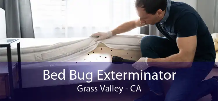 Bed Bug Exterminator Grass Valley - CA