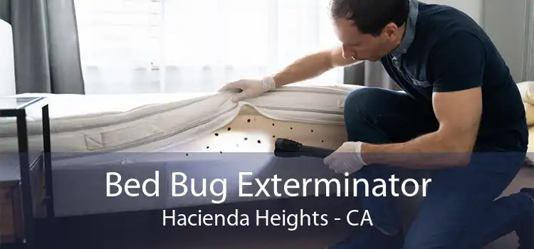 Bed Bug Exterminator Hacienda Heights - CA