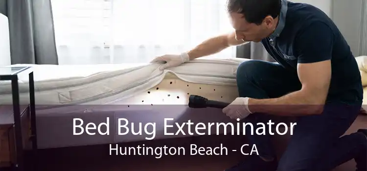 Bed Bug Exterminator Huntington Beach - CA