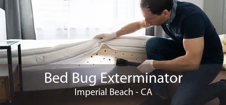 Bed Bug Exterminator Imperial Beach - CA