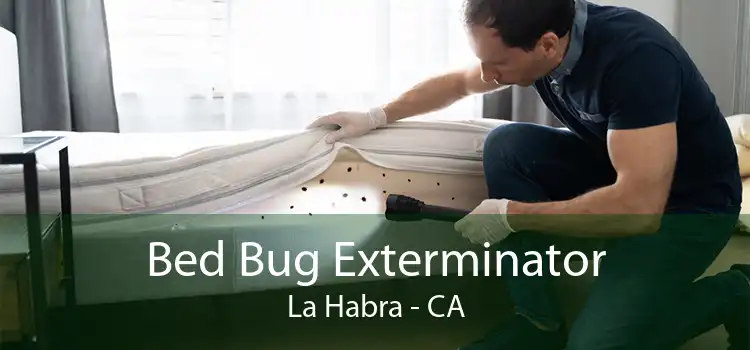 Bed Bug Exterminator La Habra - CA